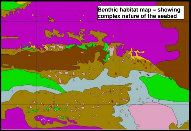 Cartographie des habitats benthiques