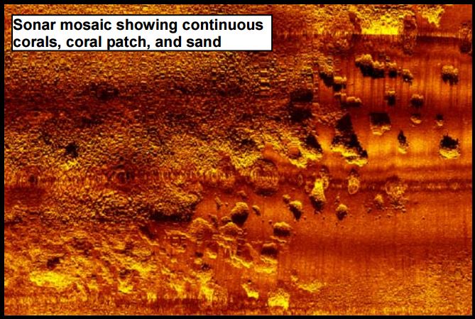 Cartographie des habitats benthiques